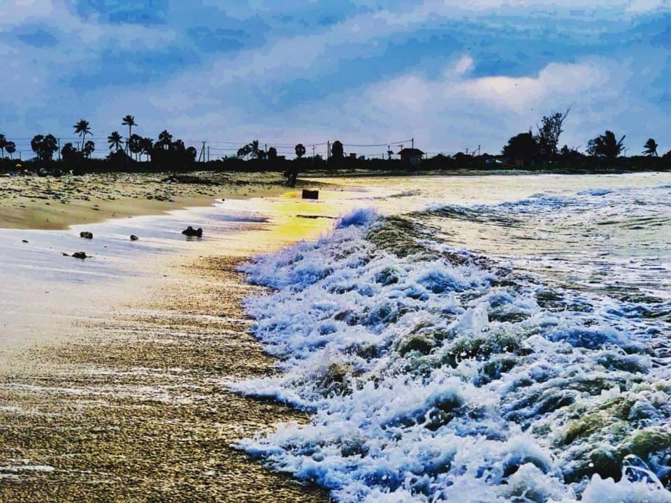 Sai Seashell Rest Inn Nilaveli Trincomalee Dış mekan fotoğraf